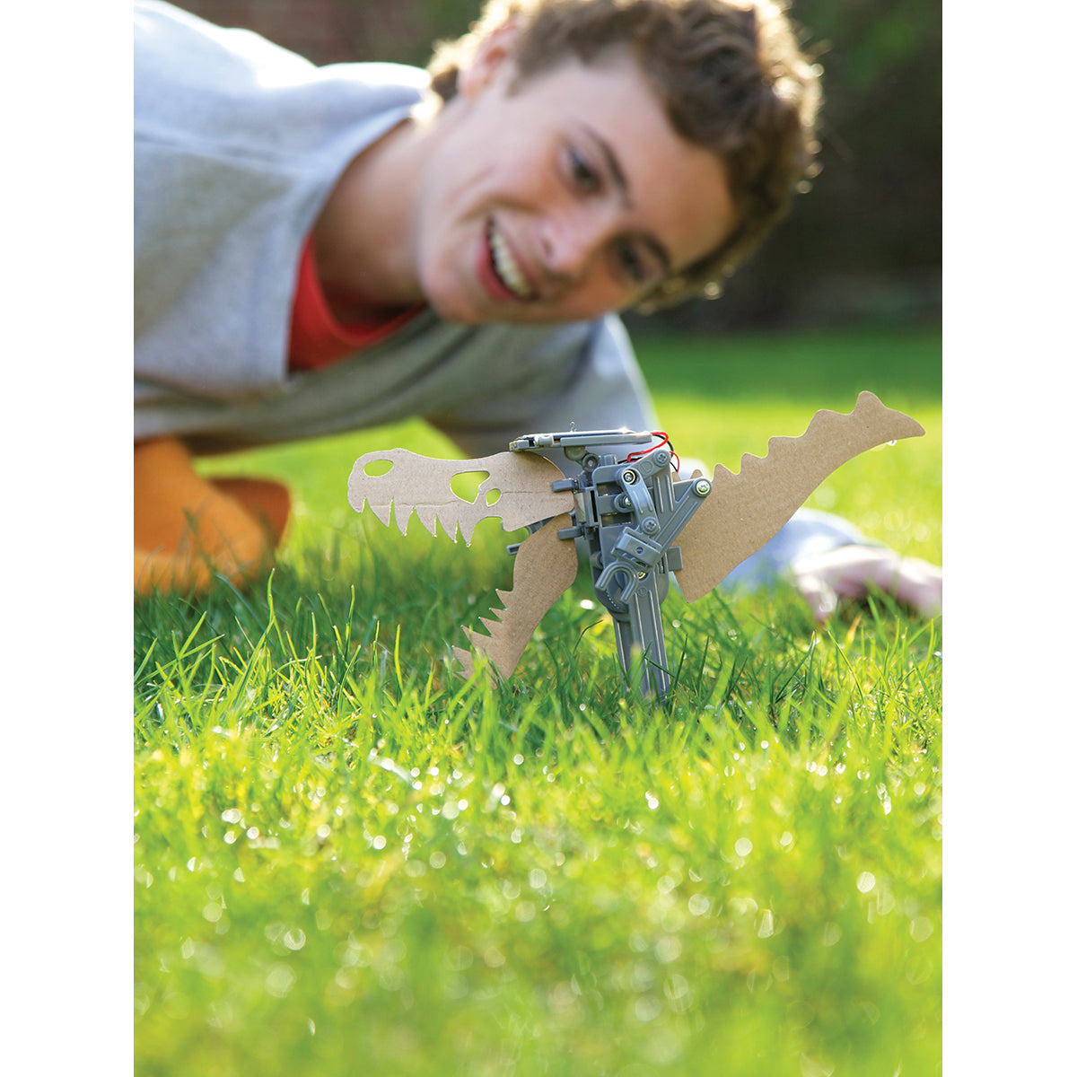 Green Science: Solar Robot