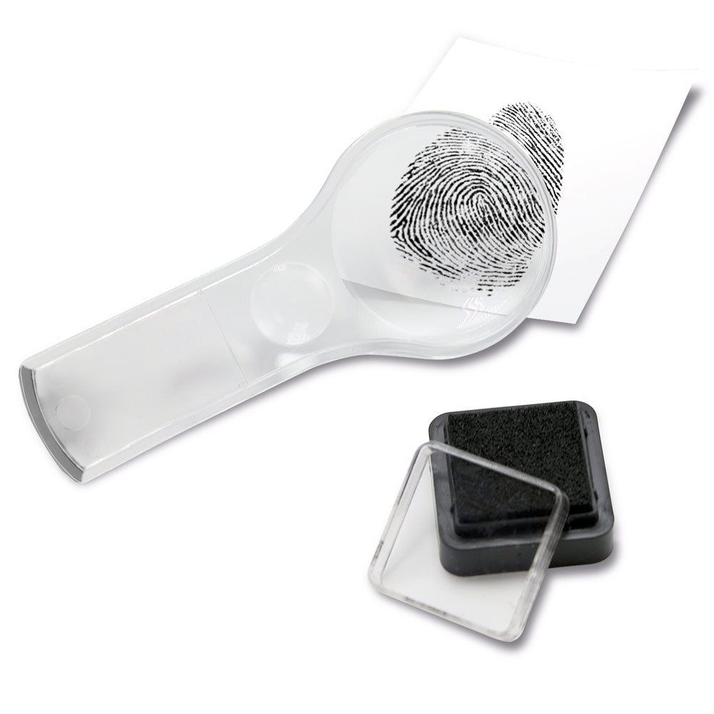 Head-to-Toe Human Body Science Lab