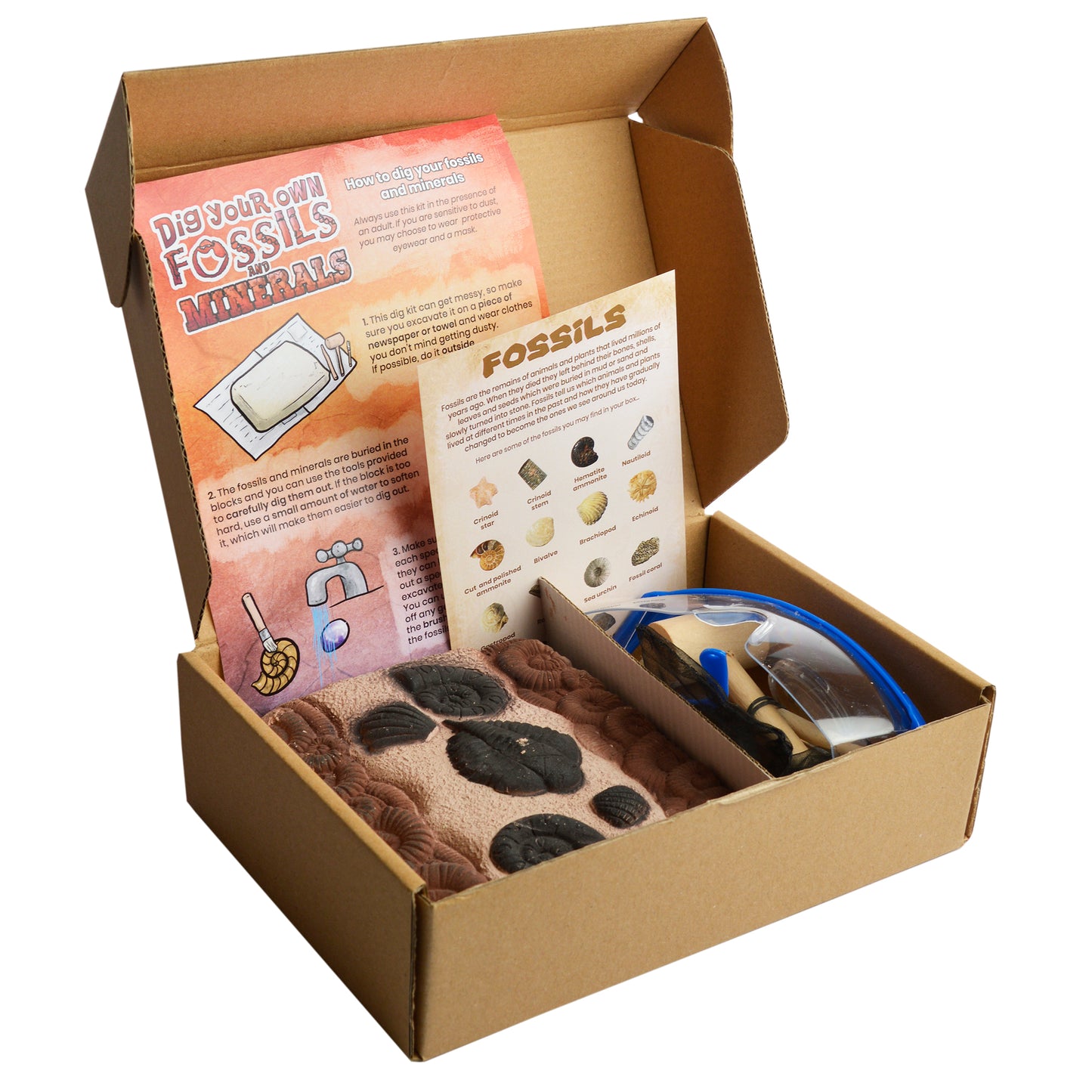 Dig your own Fossils