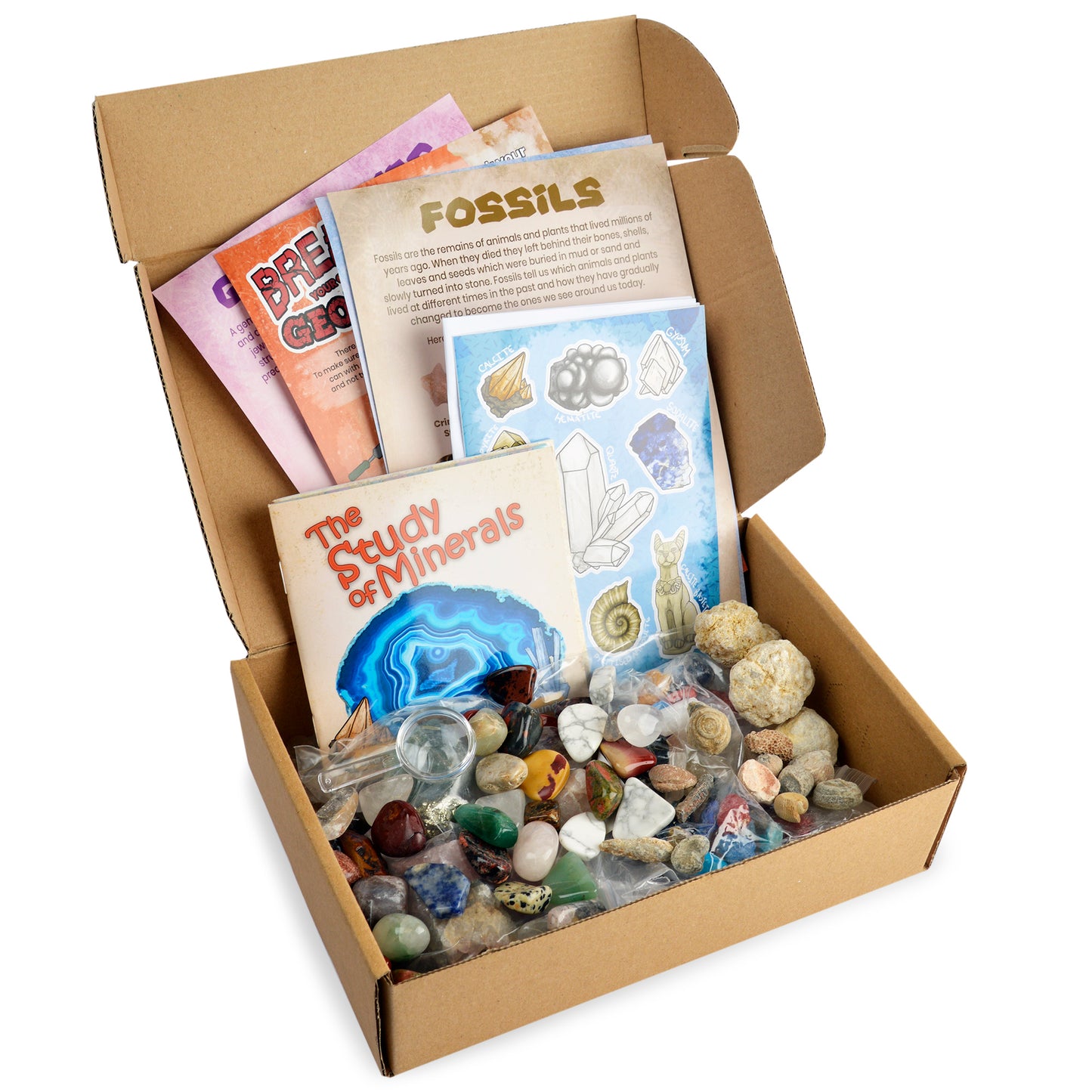 Fossil and Mineral Discovery Box