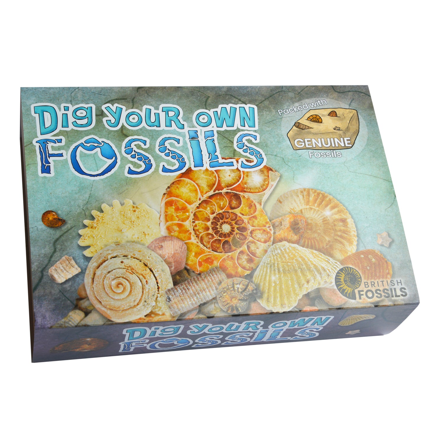 Dig your own Fossils