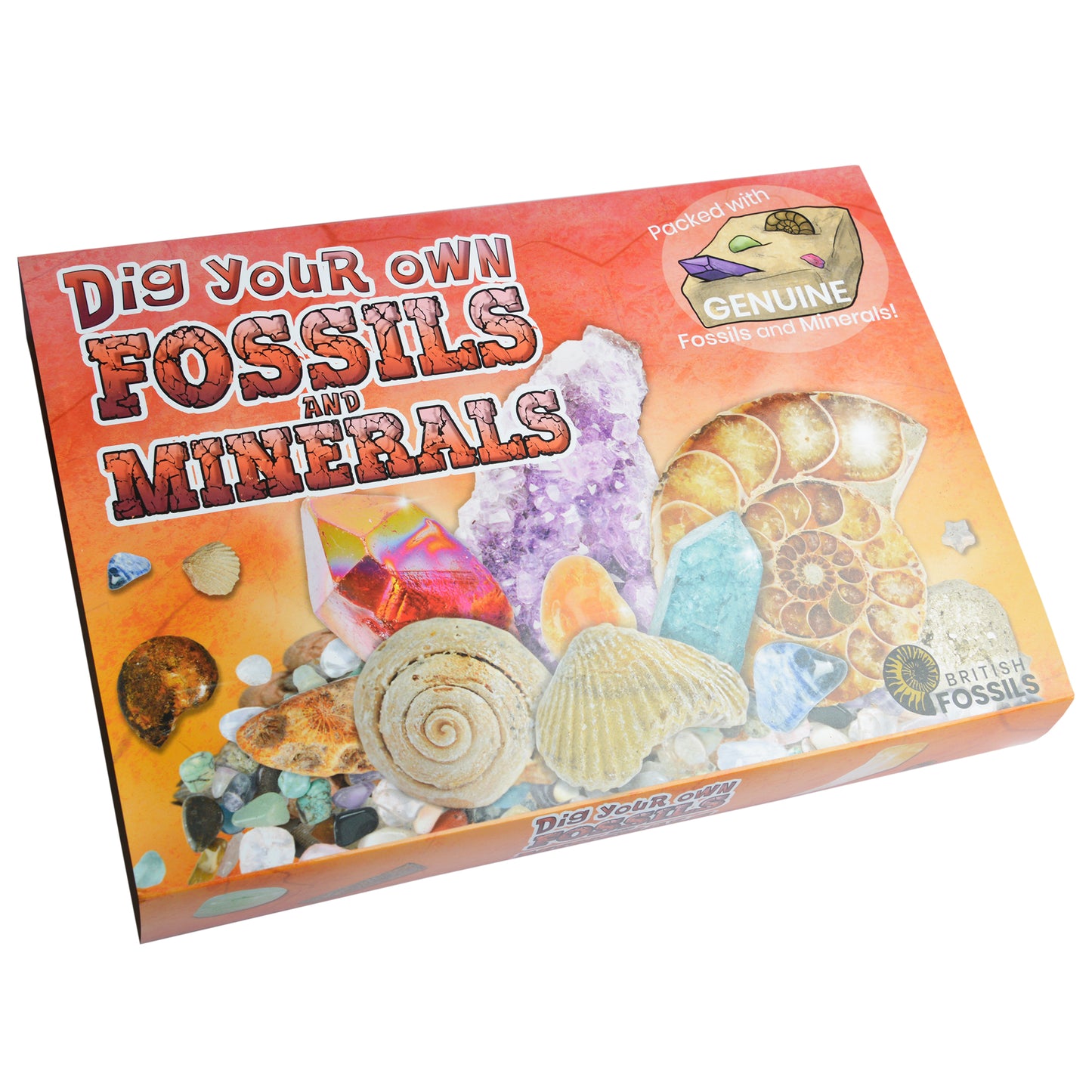 Dig your own Fossils and Minerals