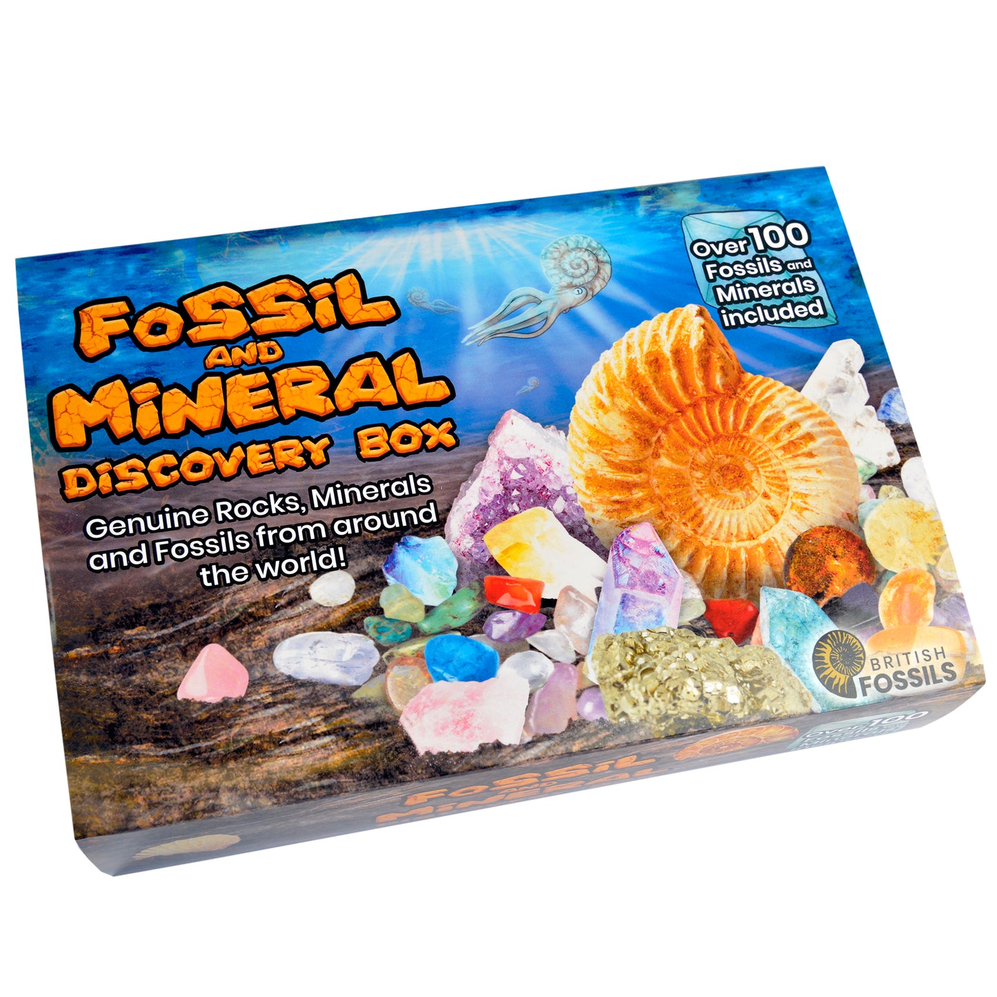 Fossil and Mineral Discovery Box